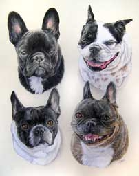 Composition en portrait de quatre Bouledogues Franais